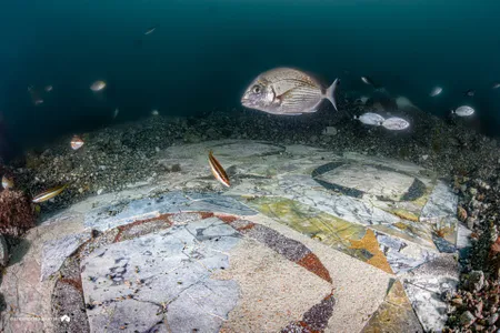 Fish swim by an ancient Roman mosaic once part of a wealthy villa in the city of Baiae.