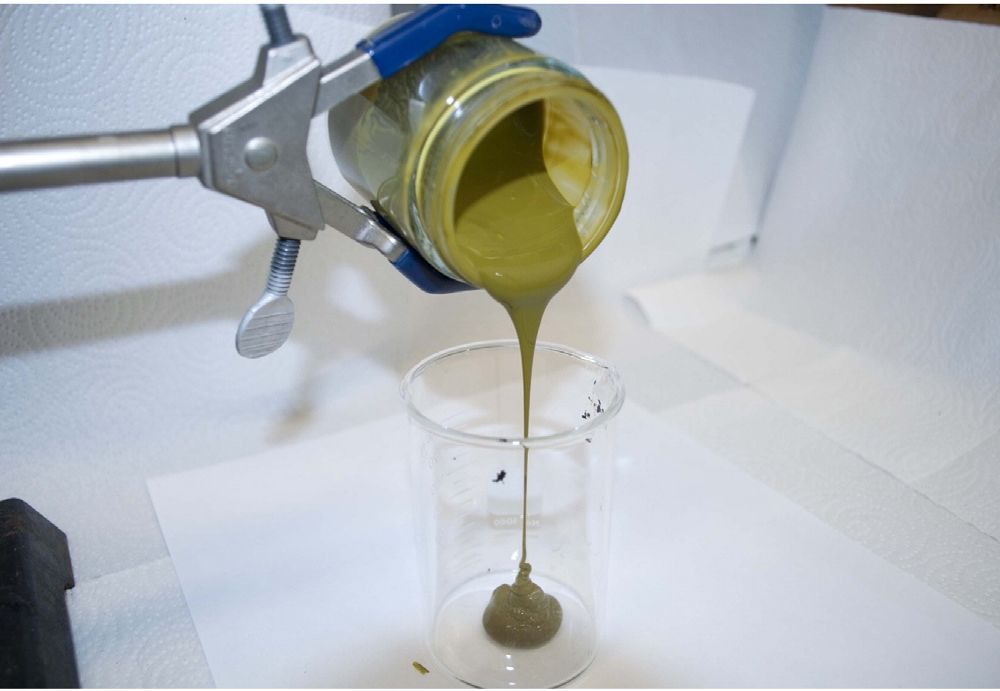 Algae biofuel