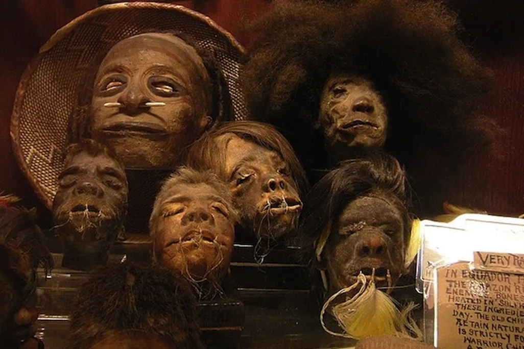 20130320124035800px-Seattle_-_Curiosity_Shop_-_shrunken_heads_02A.jpg