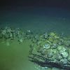 Rare 16th-Century Shipwreck Discovered at Record Depth in French Waters icon