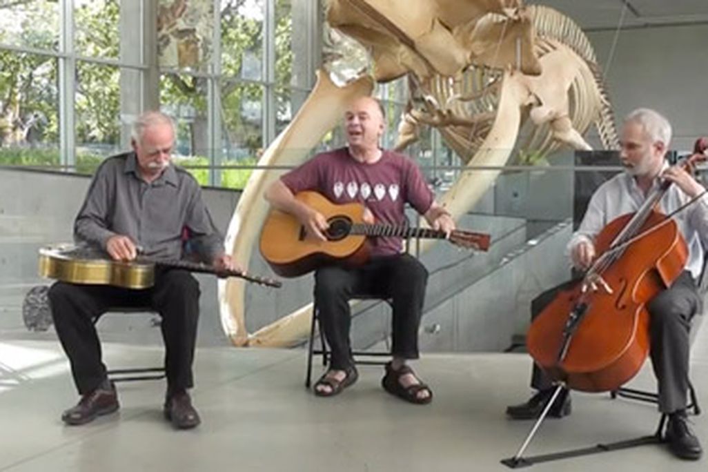 20110713022757cambrian-explosion-song.jpg
