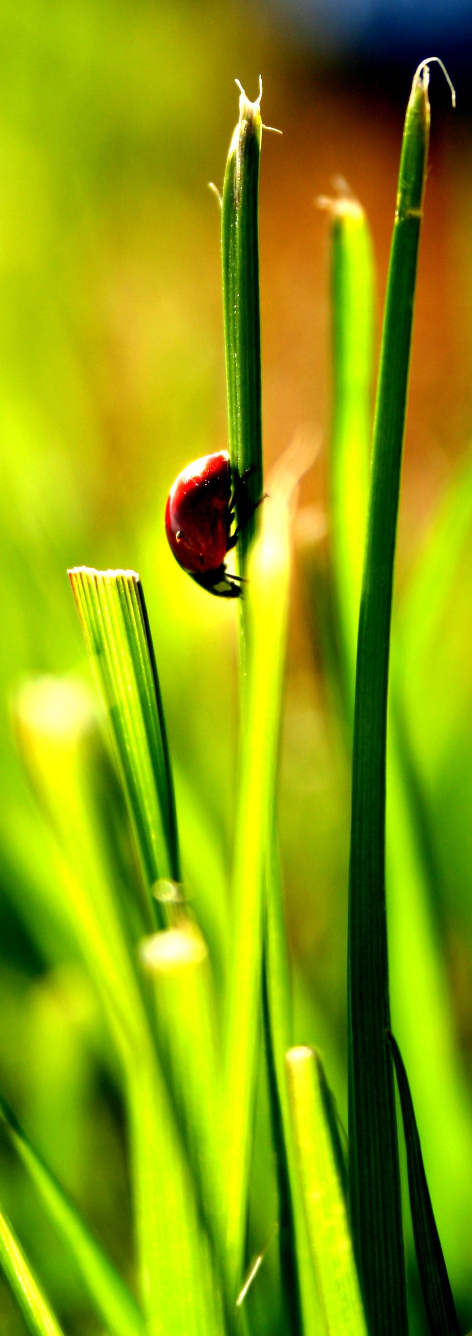 never-falling-down-smithsonian-photo-contest-smithsonian-magazine