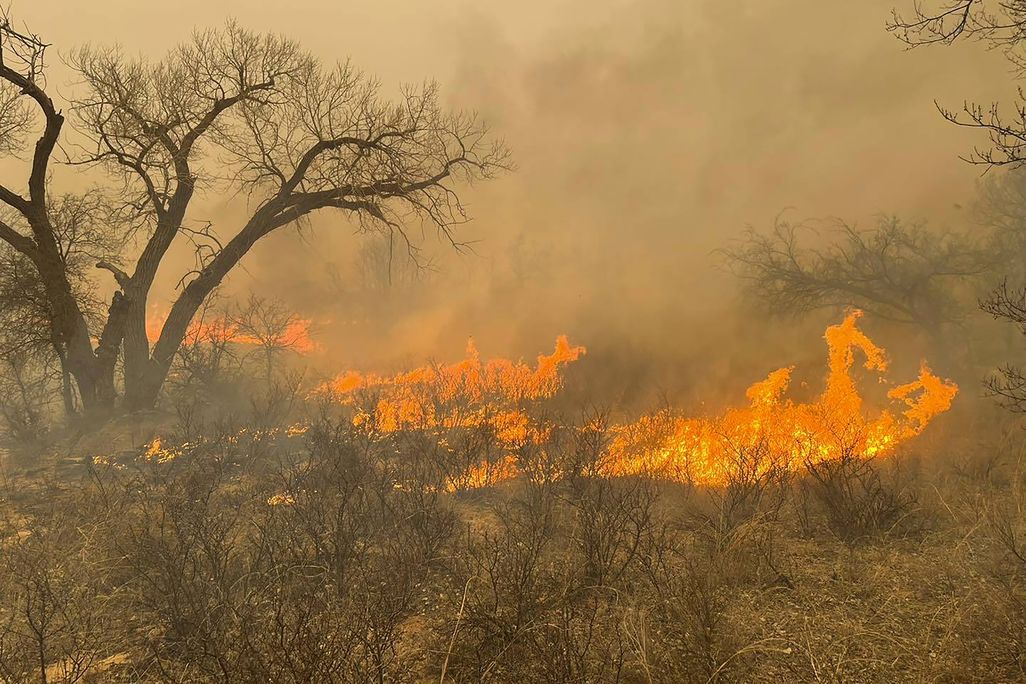 A fast-moving orange wildfire blaze moves through dry brush and trees in the Texas Panhandle