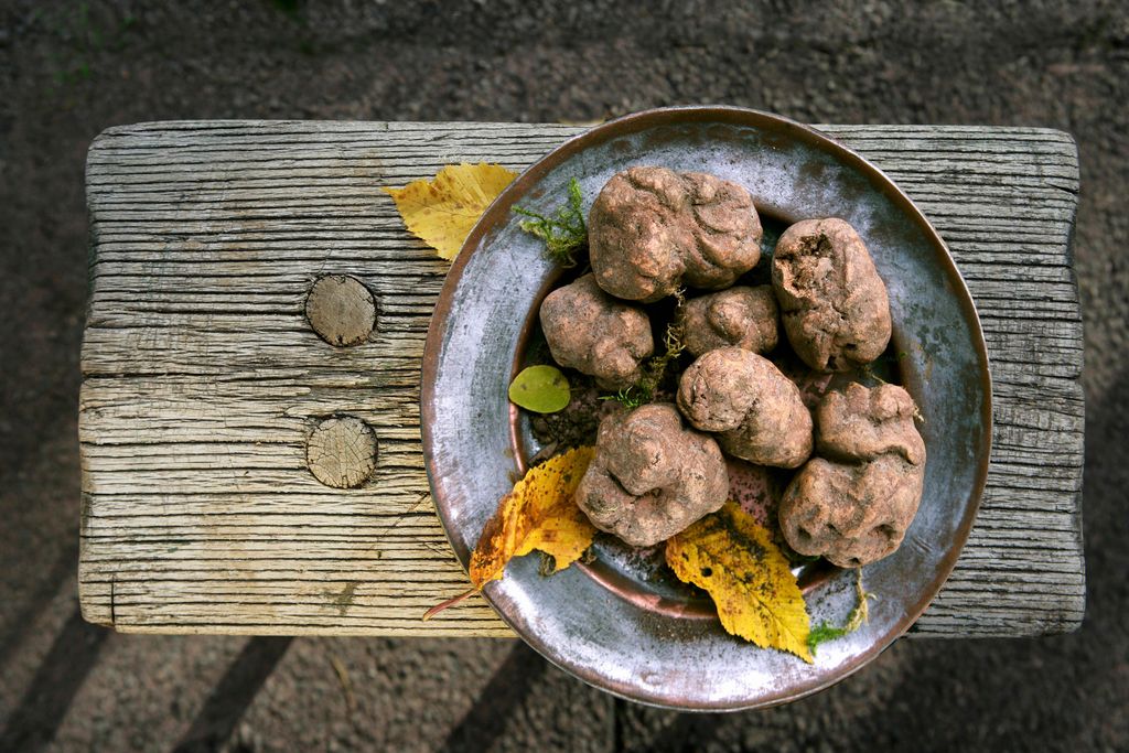 truffle