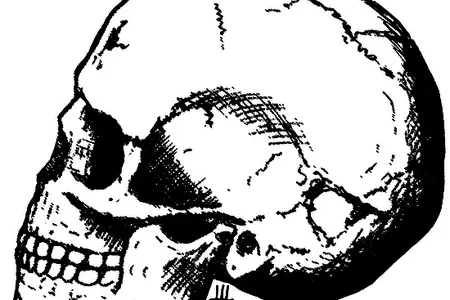 Dating and mapping fossil finds is one way anthropologists track early human migrations. The bones from Qafzeh, Israel, (a drawing of one of the skulls, above) indicate Homo sapiens first left Africa more than 100,000 years ago.