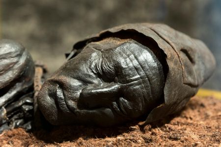 Bogs are perhaps best known for preserving prehistoric human remains. One of the most famous examples of these so-called "bog bodies" is Tollund Man.