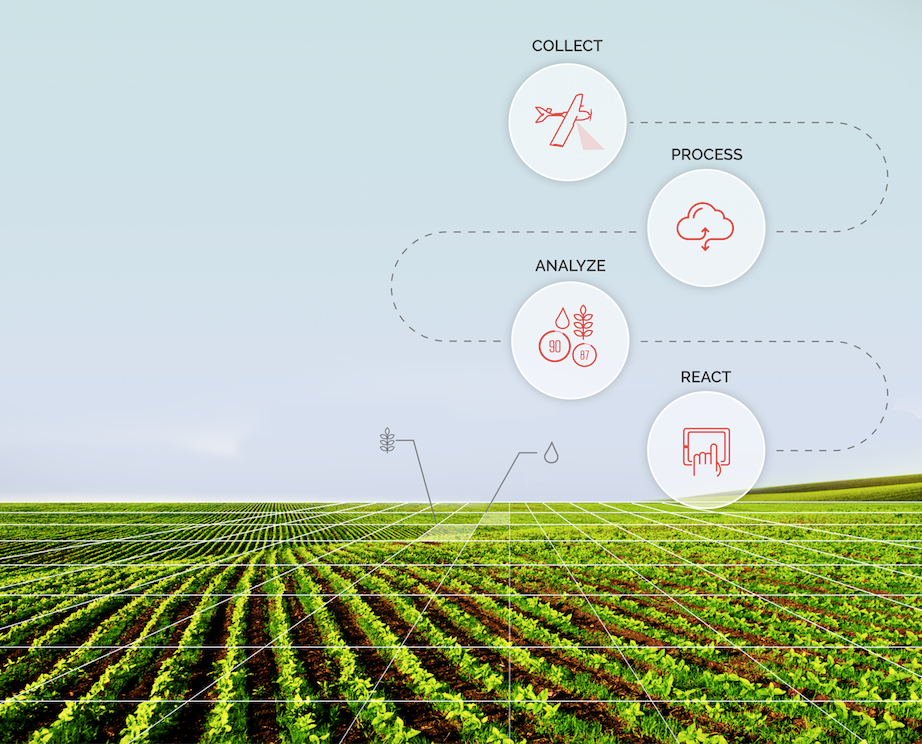 Five Roles Robots Will Play in the Future of Farming