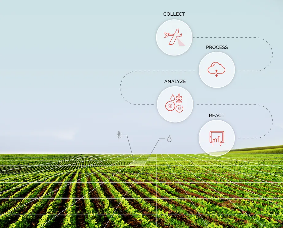 Five Roles Robots Will Play in the Future of Farming