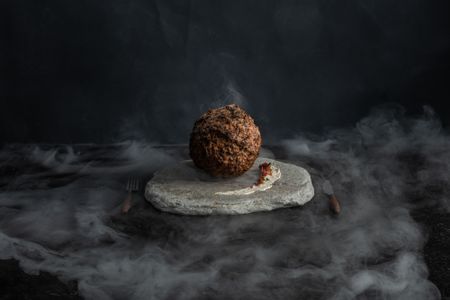 The meatball made with woolly mammoth DNA was unveiled at a museum in the Netherlands this week.