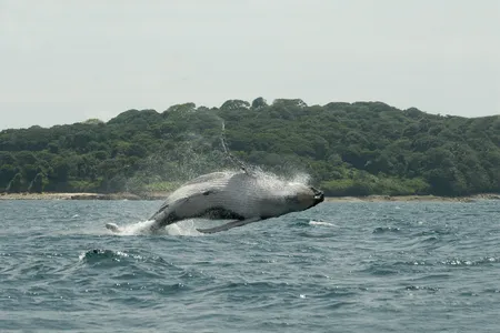 After a year of strict Covid-19 lockdowns which brought a severe economic standstill, Panama is awaiting the return of visitors and the restart of the tourism industry.