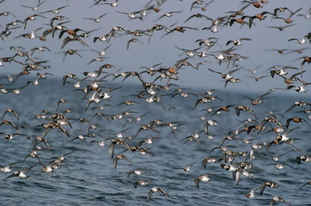 Delaware Bay