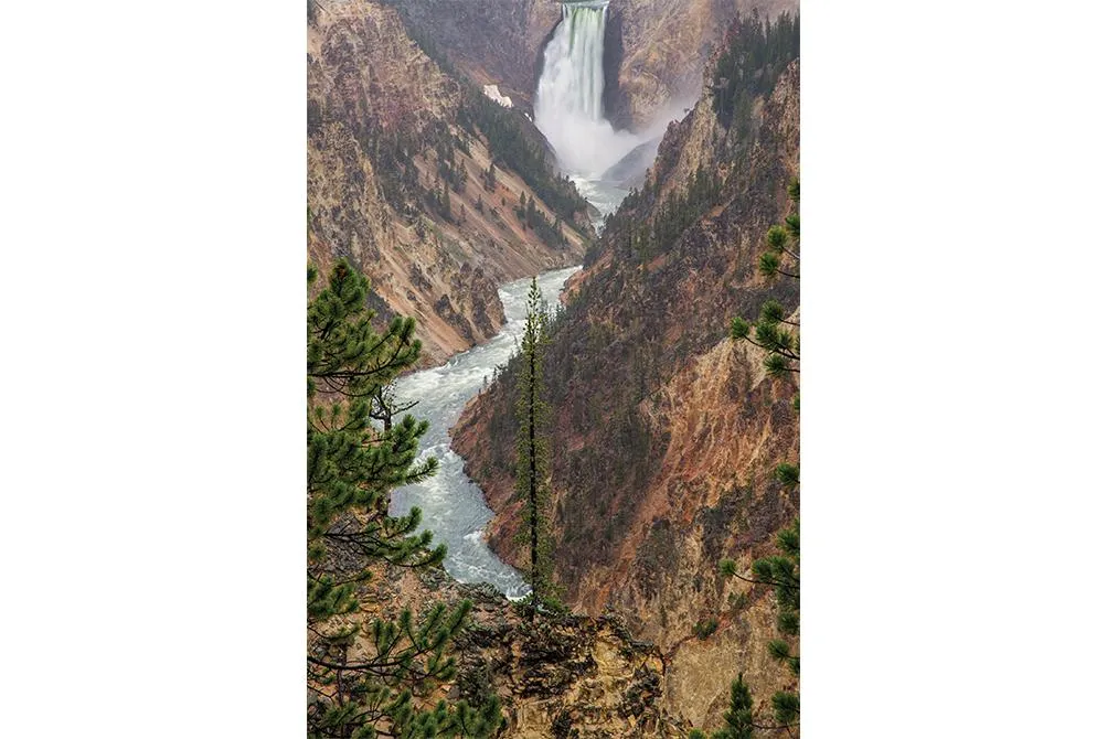 The majestic 308-foot Lower Falls