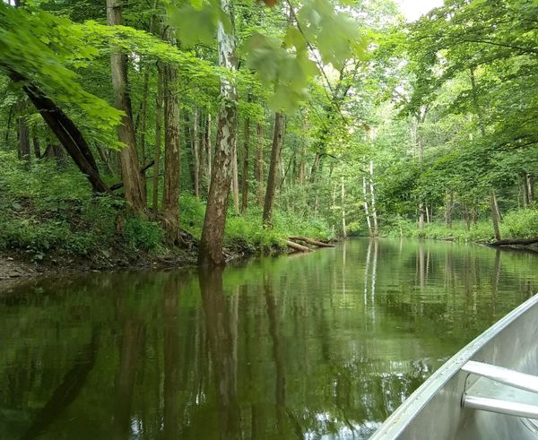 Leafy Lake Channel thumbnail
