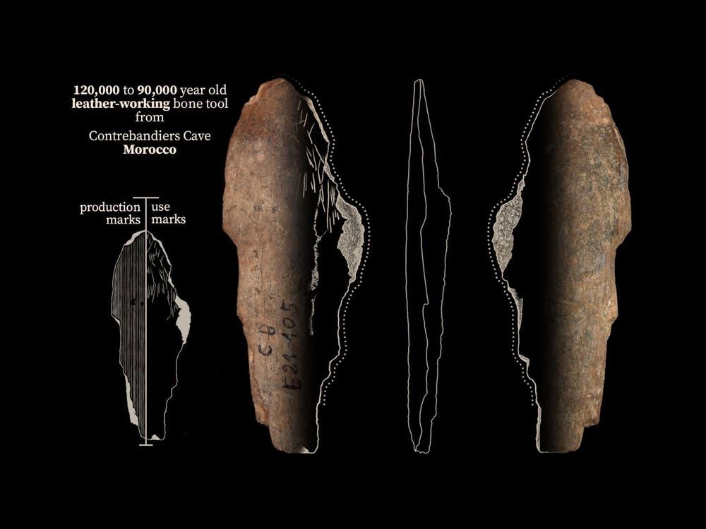 Oldest Known Shell Beads  The Smithsonian Institution's Human Origins  Program