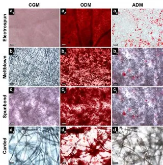 Taking a Cue from Textile-Making to Engineer Human Tissue