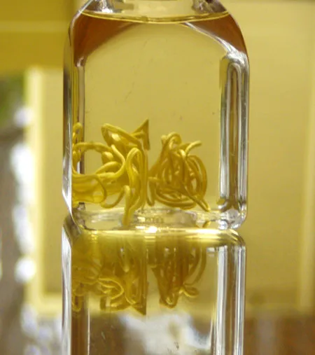 Worms in Jar