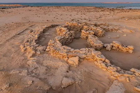 The finds suggest that the islands off the coast of Abu Dhabi weren&#39;t &quot;arid and inhospitable&quot; thousands of years ago, but rather a &quot;fertile coast&quot; ripe for settlement.