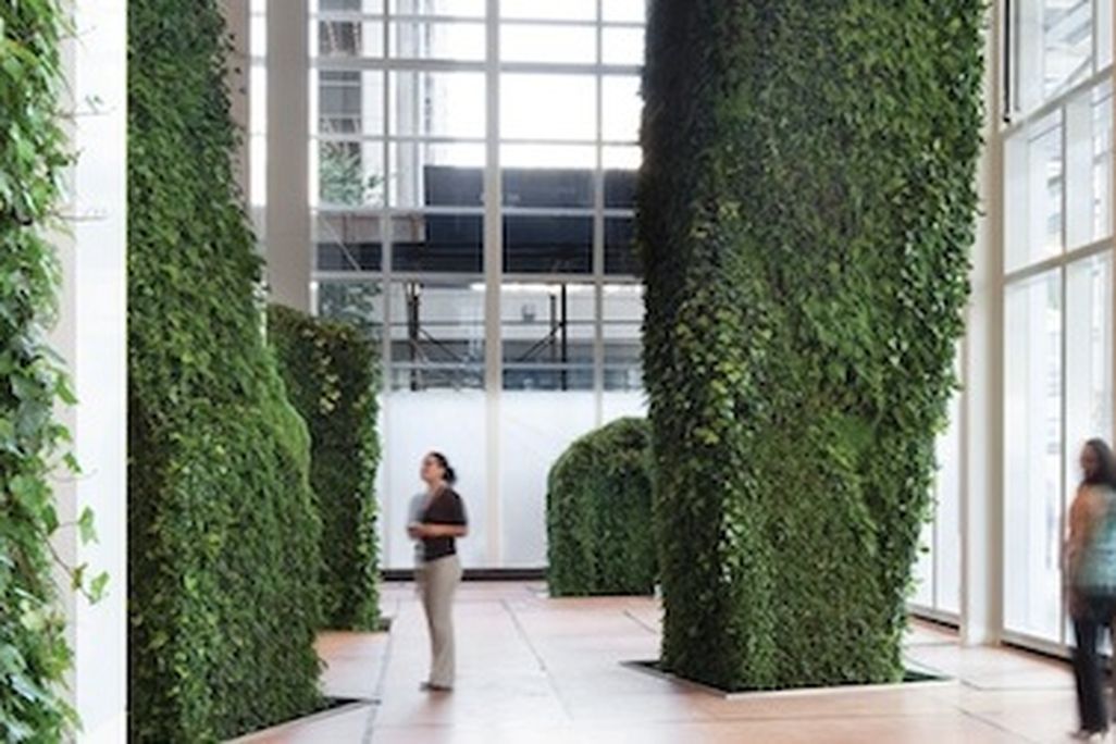 Landscape designer
