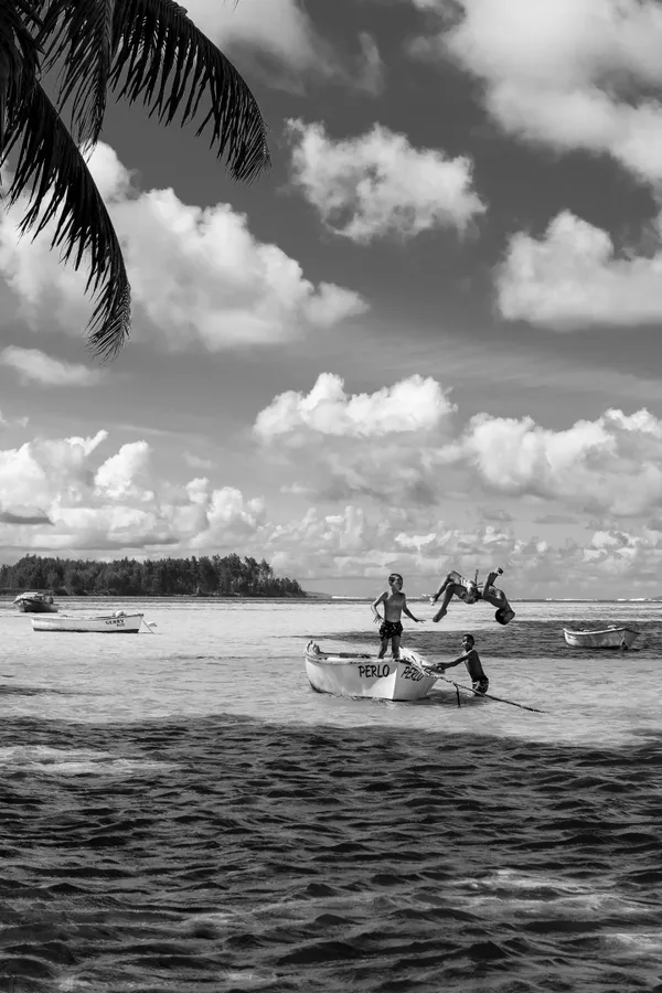 Leap into the Sea thumbnail