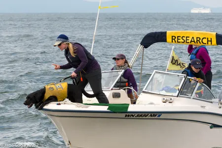Trainer Liz Seely and Tucker head out to search for scat on a research boat.