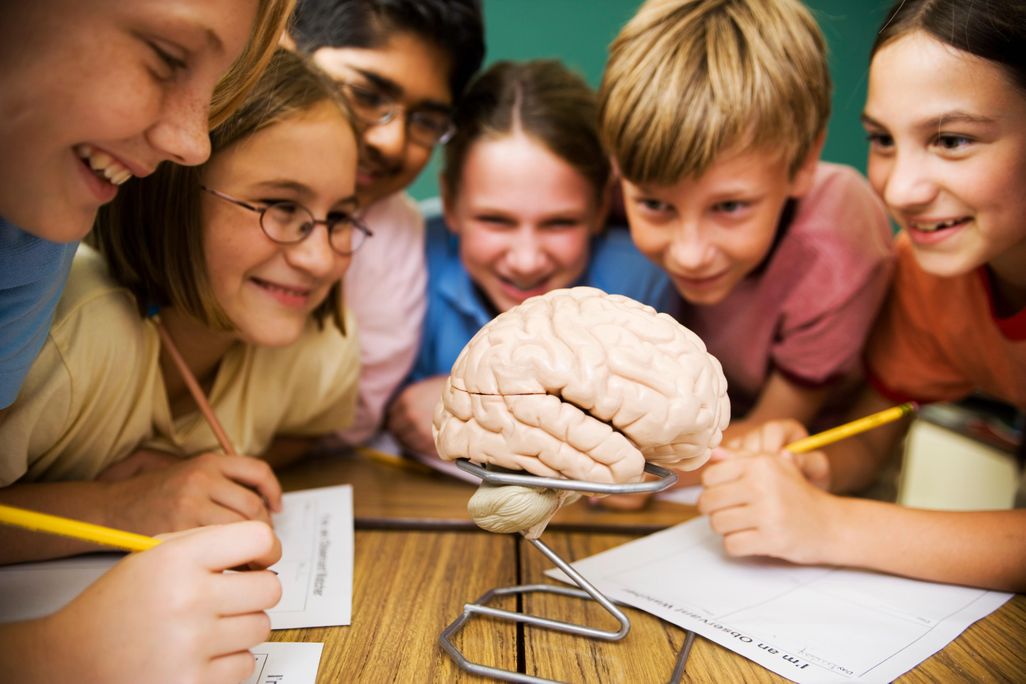 neuroscience-and-education.jpg