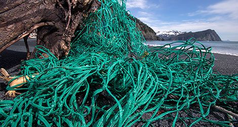 Fishing net at Alaska’s Gore Point