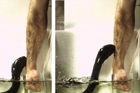 The electric eel makes it leaping attack onto a biologist's arm