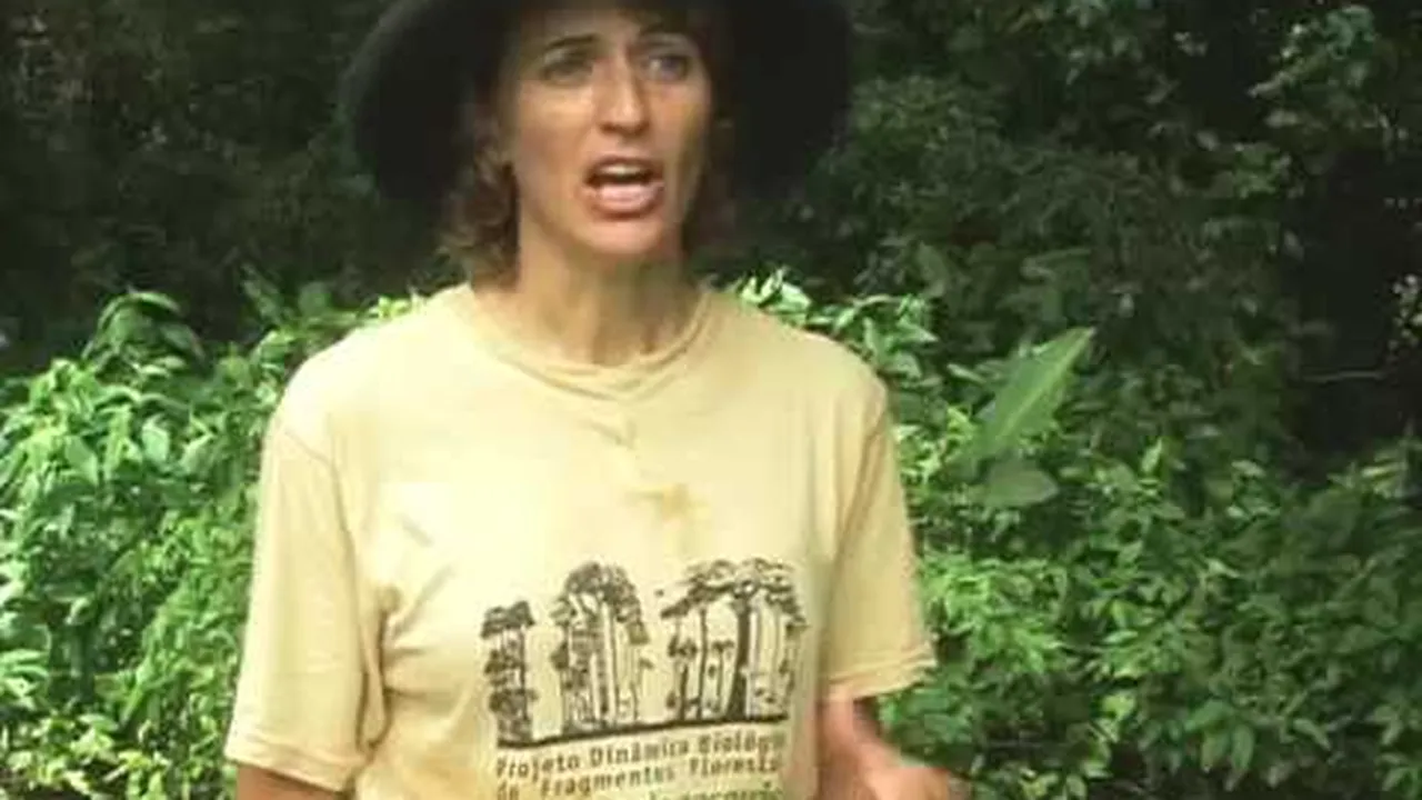 Preview thumbnail for Biodiversity Decline