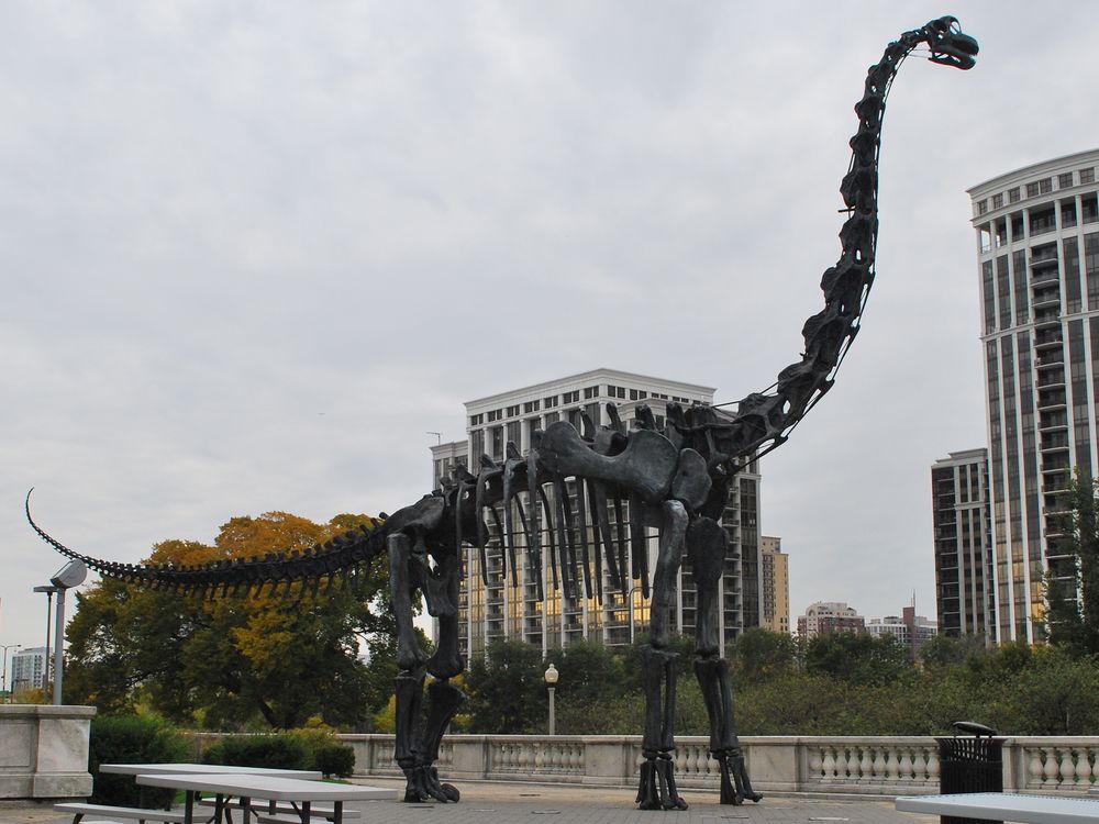 Brachiosaurus