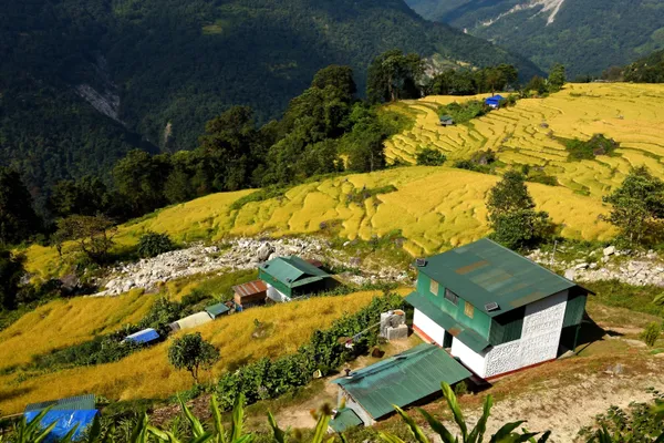 A Memorable trek around Makalu Base Camp, Nepal thumbnail