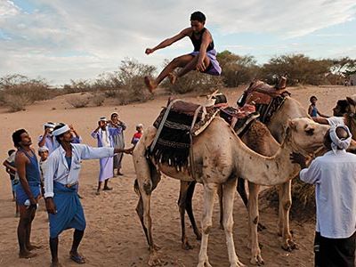Camel jumping
