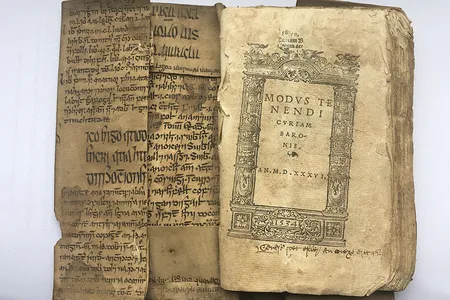 A newly rediscovered fragment of Ibn Sīnā's Canon of Medicine