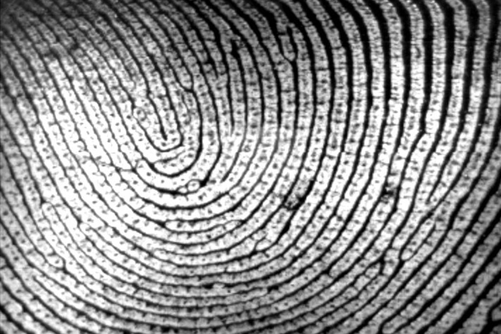fingerprint