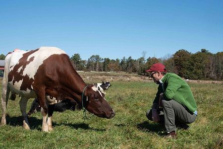 Regenerative farming, which centers on building soil health, is one promising pathway for decreasing agriculture’s carbon footprint.
