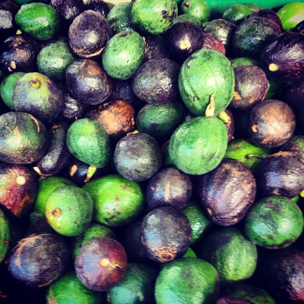 Avocados thumbnail