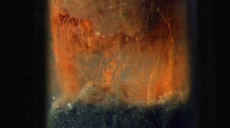 Microscopic bacteria were found to conduct electricity between red surface sediments and deeper, anaerobic black seabed layers.