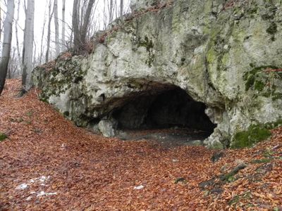 Maszycka Cave in southern Poland, where archaeologists unearthed 18,000-year-old bones that show evidence of human manipulation