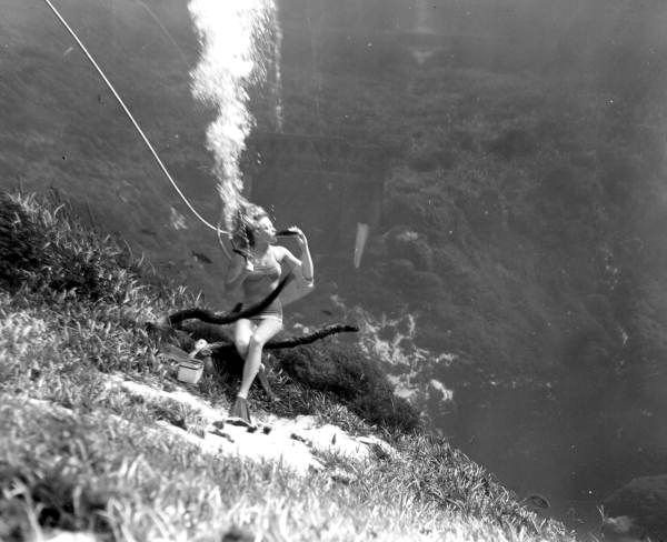 The Historic Tail of the Weeki Wachee Mermaids