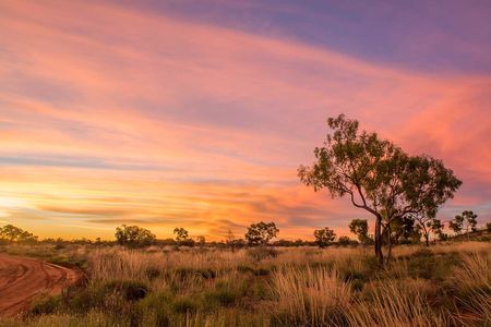 Newhaven Wildlife Sanctuary, where Aboriginal Warlpiri ranger Christine Ellis hunts feral cats to help protect native species