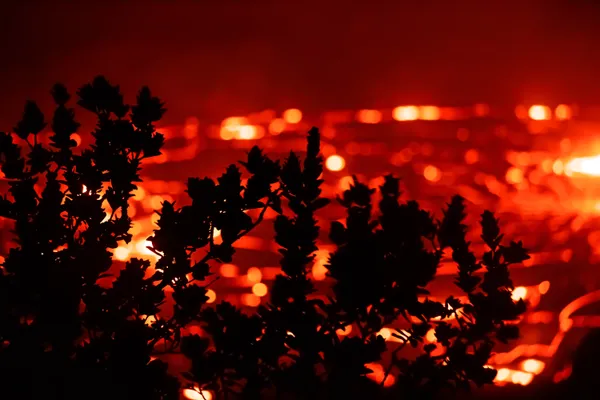 When Life Dances with Destruction thumbnail