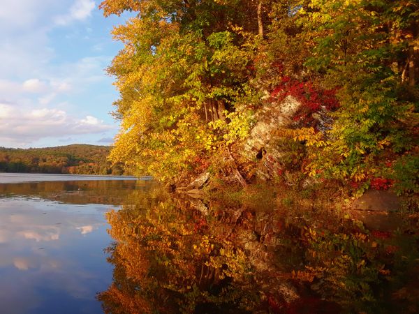 Foliage Reflection. thumbnail