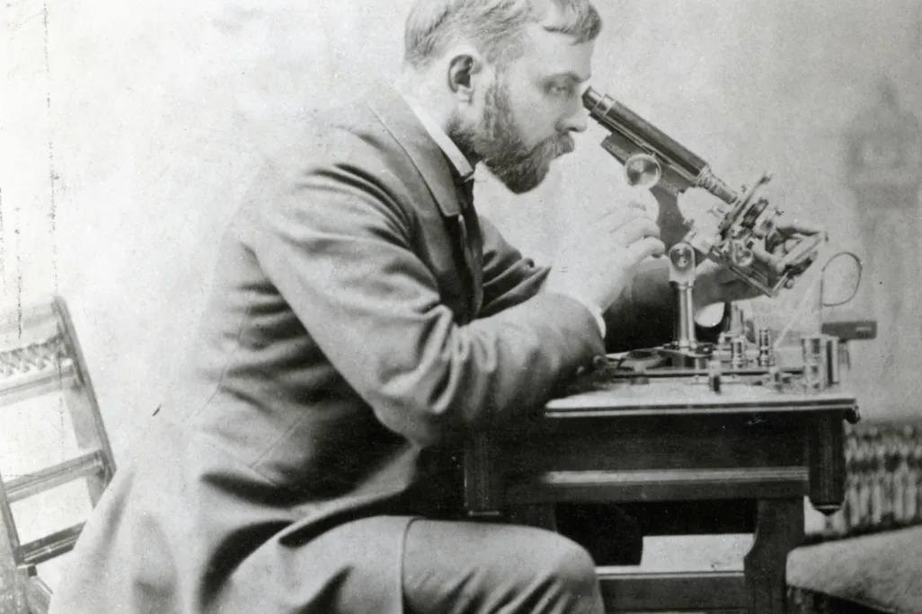 Bayard Holmes