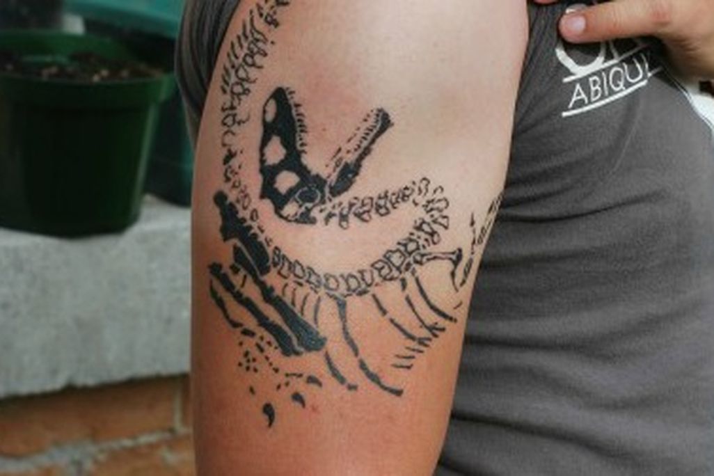 My Allosaurus ink