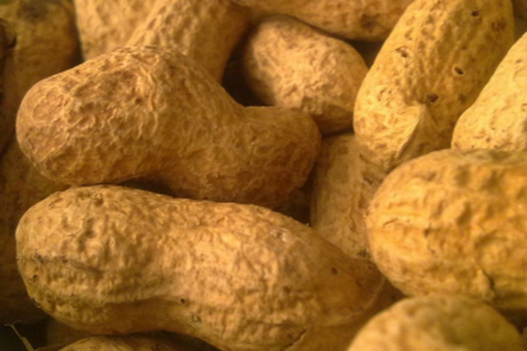 Peanuts