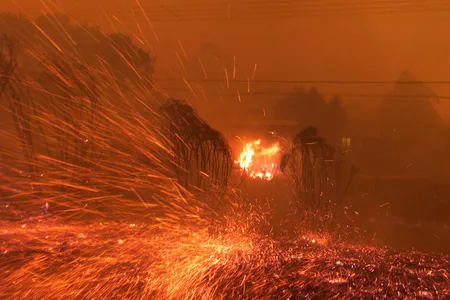 Bush Fire in Canberra