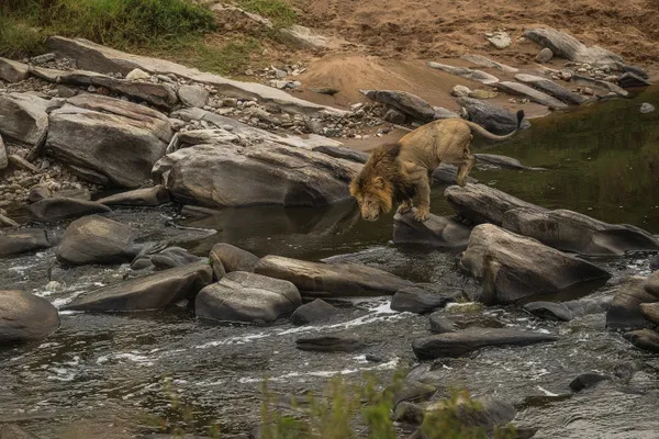 Crossing Into New Territory thumbnail