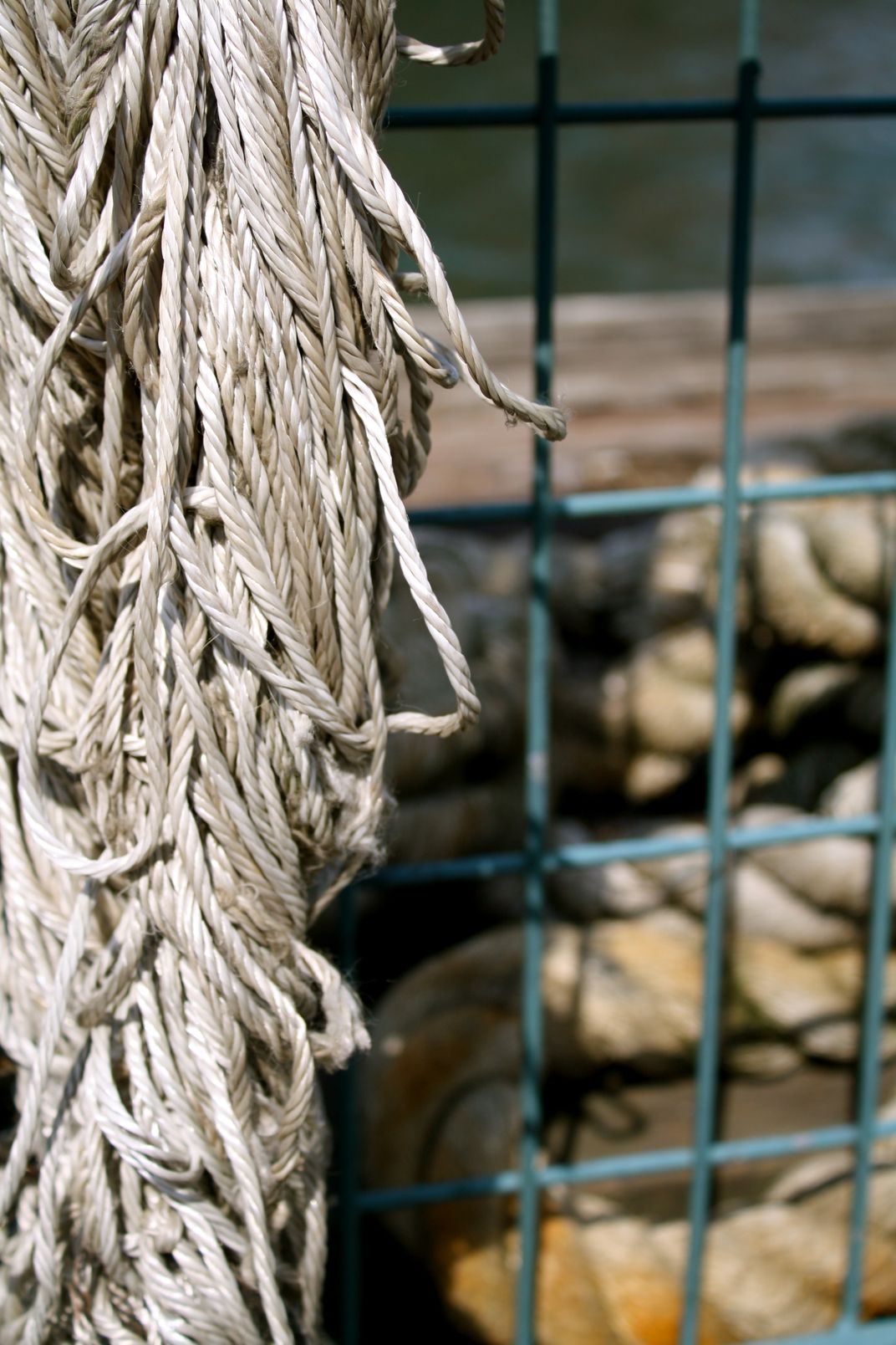 ropes in NY Smithsonian Photo Contest Smithsonian Magazine