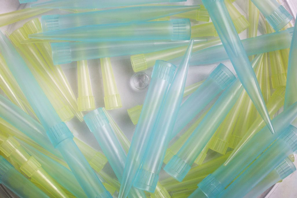 A close-up image of blue and yellow pipette tips on a white surface 