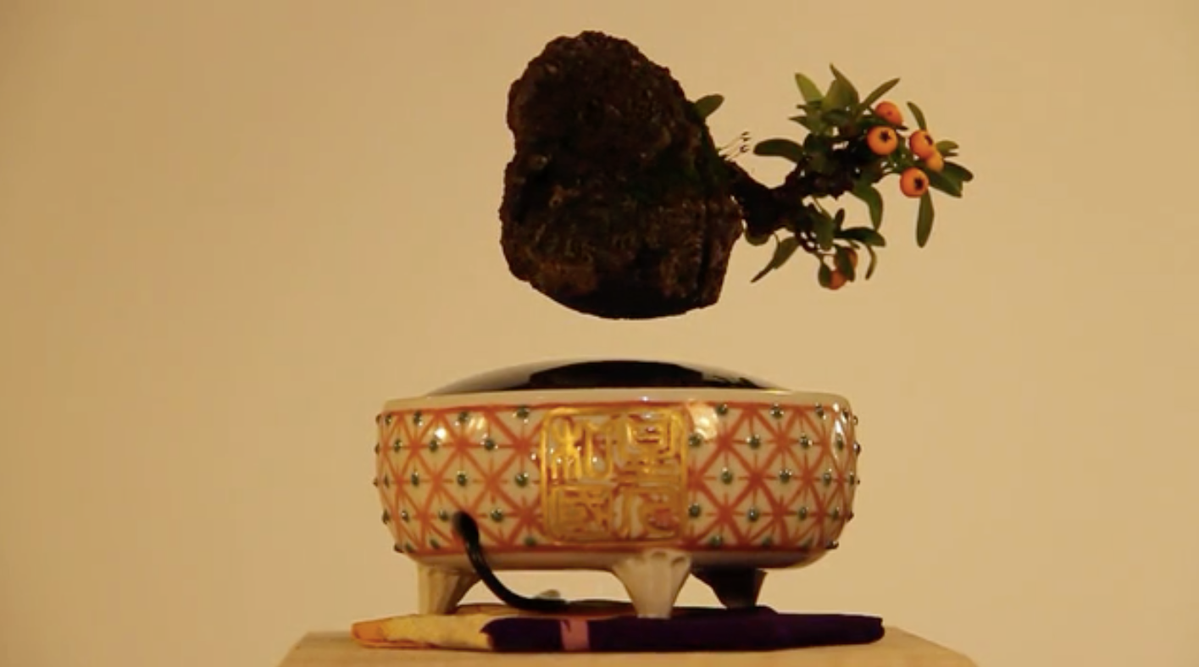 These Levitating Bonsai Will Brighten Your Home With Science