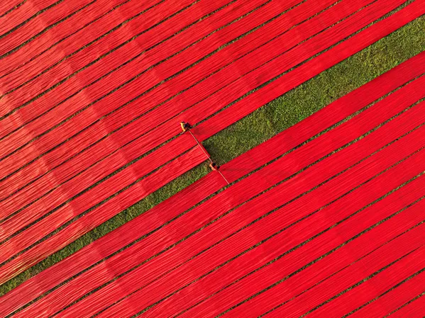 Red Threads of Tradition thumbnail